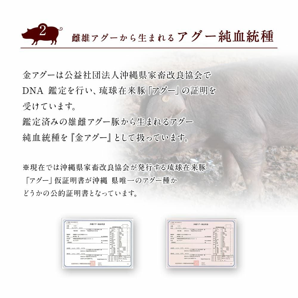 しゃぶしゃぶ用 金アグー豚スライス 合計500g （100g×5パック