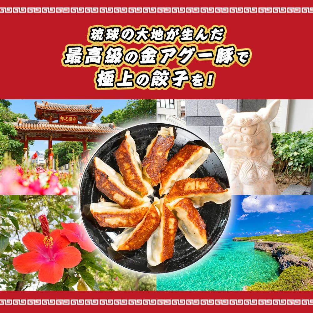 金アグー豚 肉餃子 1パック12個 ぎょうざ 餃子 あぐー アグー 肉 豚