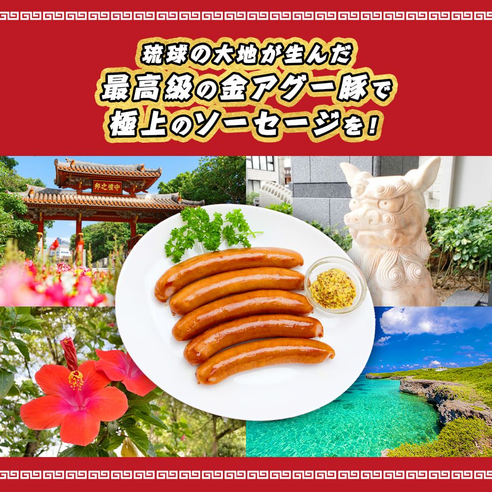 金アグー豚 ソーセージ 1パック 12本入り そーせーじ あぐー アグー 肉
