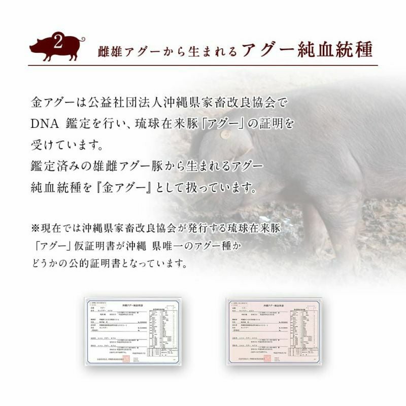 島しゃぶしゃぶセット匠 4～5人前 合計800g（金アグー豚 500g+厳選鶏